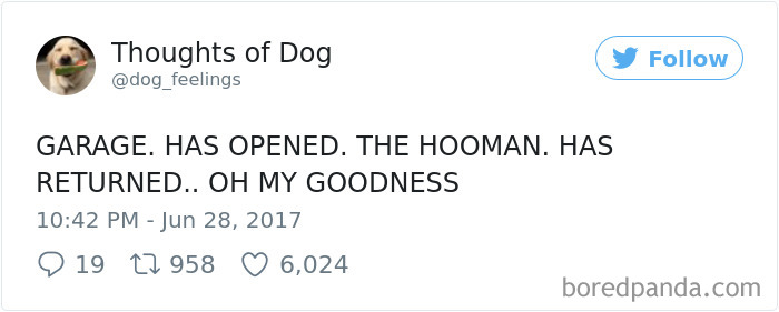 182 Of The Funniest Dog Thoughts That Dog Owners Will Understand Too Well 182 Of The Funniest Dog Thoughts That Dog Owners Will Understand Too Well