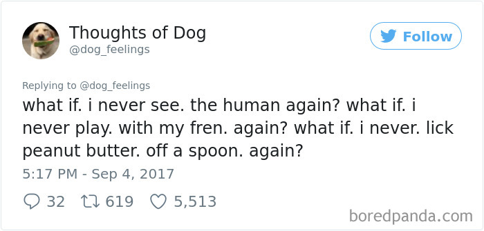 182 Of The Funniest Dog Thoughts That Dog Owners Will Understand Too Well 182 Of The Funniest Dog Thoughts That Dog Owners Will Understand Too Well
