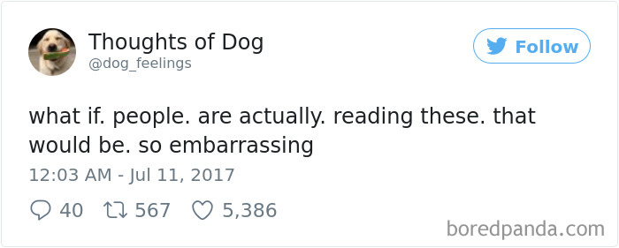 182 Of The Funniest Dog Thoughts That Dog Owners Will Understand Too Well 182 Of The Funniest Dog Thoughts That Dog Owners Will Understand Too Well