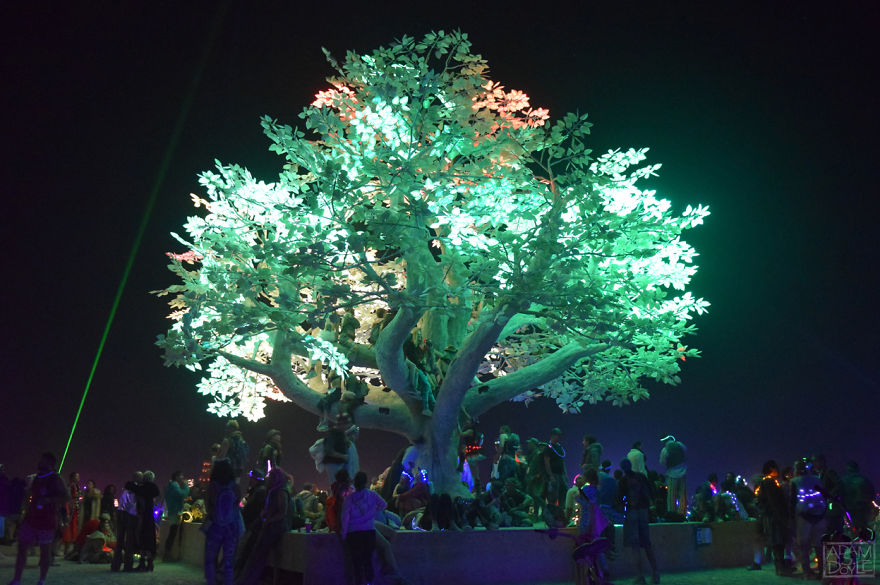 A Glimpse Into Burning Man A Glimpse Into Burning Man