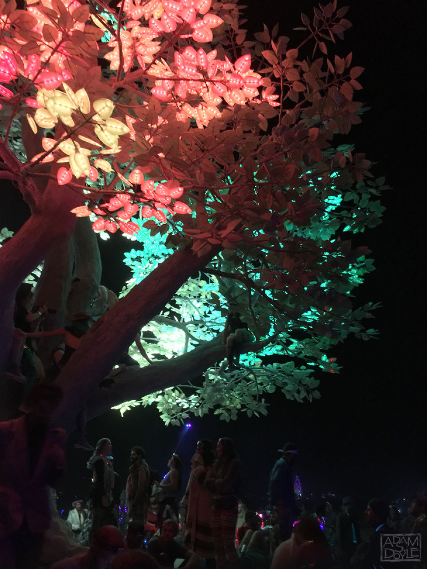 A Glimpse Into Burning Man A Glimpse Into Burning Man