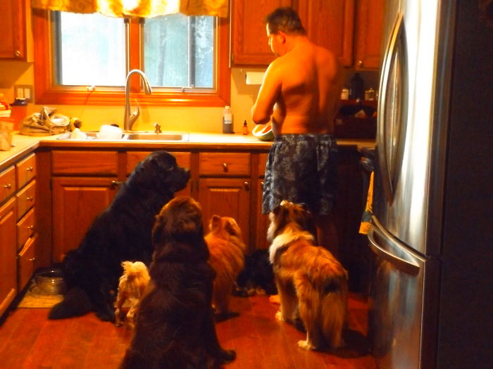 Pet Owners Who Have 3 Or More Pets, Share Your Pics With Us Pet Owners Who Have 3 Or More Pets, Share Your Pics With Us