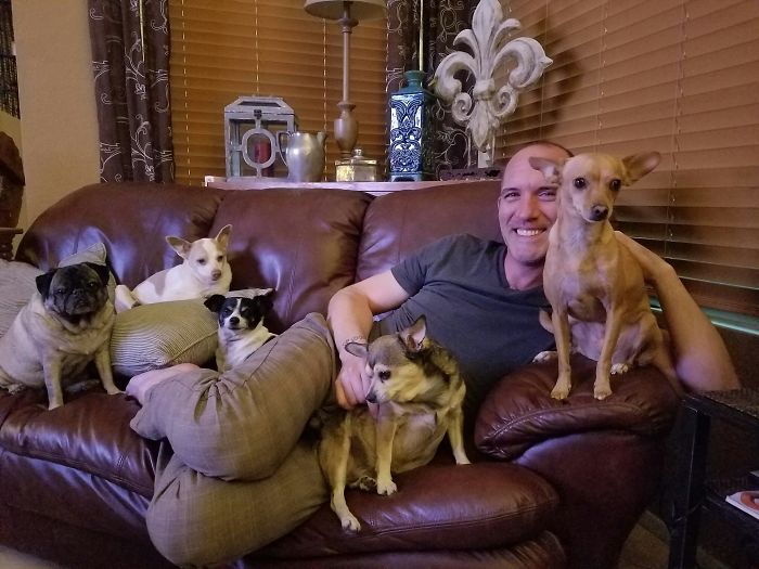 Pet Owners Who Have 3 Or More Pets, Share Your Pics With Us Pet Owners Who Have 3 Or More Pets, Share Your Pics With Us