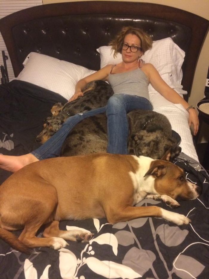 Pet Owners Who Have 3 Or More Pets, Share Your Pics With Us Pet Owners Who Have 3 Or More Pets, Share Your Pics With Us