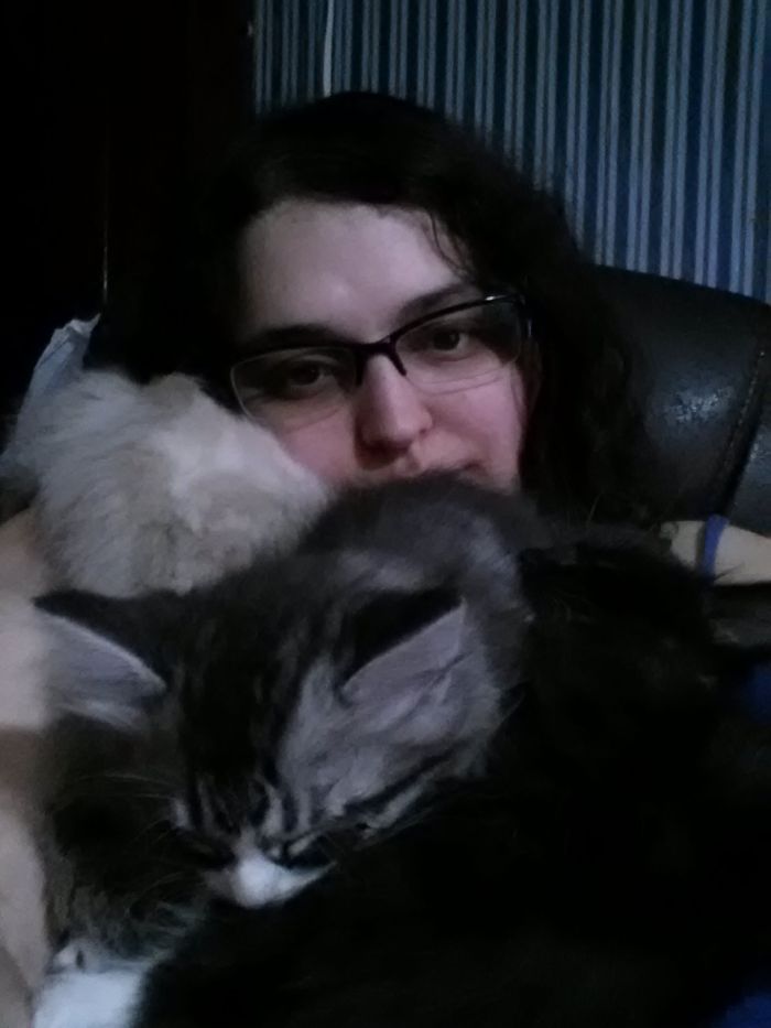 Pet Owners Who Have 3 Or More Pets, Share Your Pics With Us Pet Owners Who Have 3 Or More Pets, Share Your Pics With Us