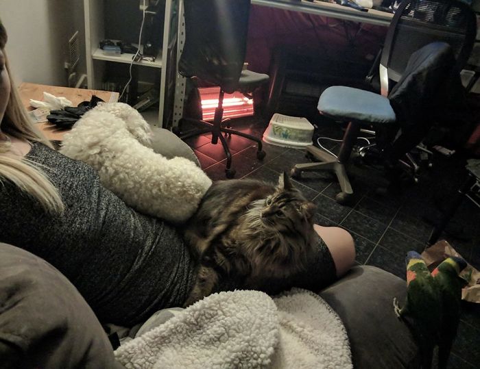 Pet Owners Who Have 3 Or More Pets, Share Your Pics With Us Pet Owners Who Have 3 Or More Pets, Share Your Pics With Us