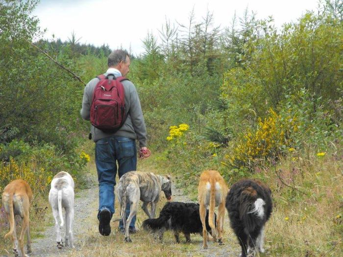 Pet Owners Who Have 3 Or More Pets, Share Your Pics With Us Pet Owners Who Have 3 Or More Pets, Share Your Pics With Us