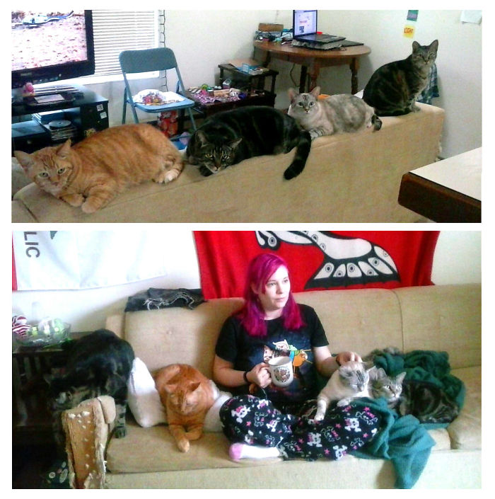 Pet Owners Who Have 3 Or More Pets, Share Your Pics With Us Pet Owners Who Have 3 Or More Pets, Share Your Pics With Us