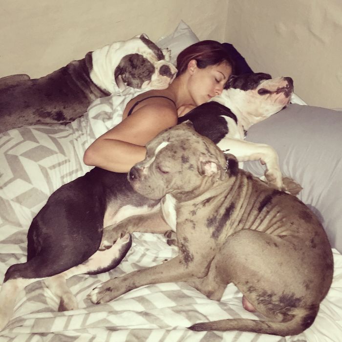 Pet Owners Who Have 3 Or More Pets, Share Your Pics With Us