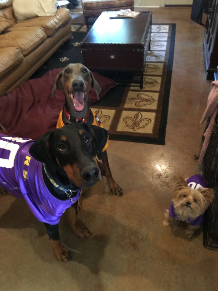 Pet Owners Who Have 3 Or More Pets, Share Your Pics With Us Pet Owners Who Have 3 Or More Pets, Share Your Pics With Us