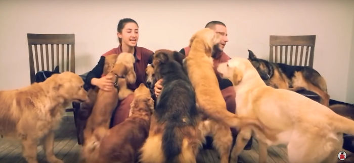 Pet Owners Who Have 3 Or More Pets, Share Your Pics With Us Pet Owners Who Have 3 Or More Pets, Share Your Pics With Us