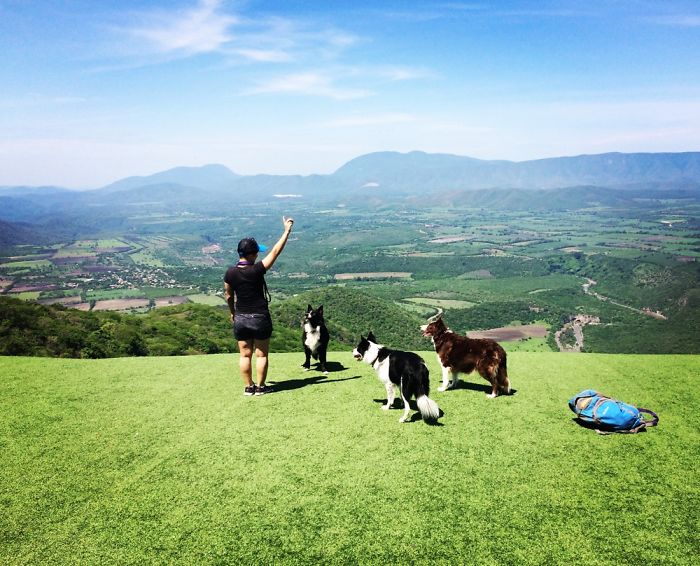 Pet Owners Who Have 3 Or More Pets, Share Your Pics With Us Pet Owners Who Have 3 Or More Pets, Share Your Pics With Us