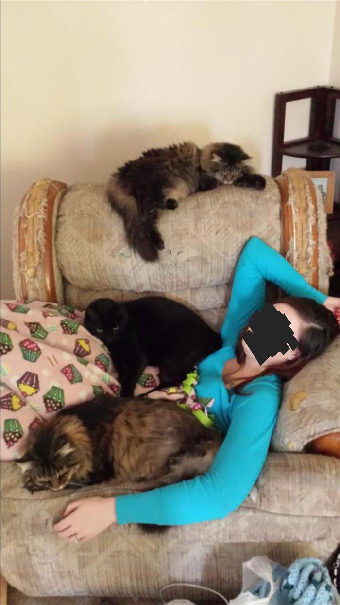 Pet Owners Who Have 3 Or More Pets, Share Your Pics With Us Pet Owners Who Have 3 Or More Pets, Share Your Pics With Us