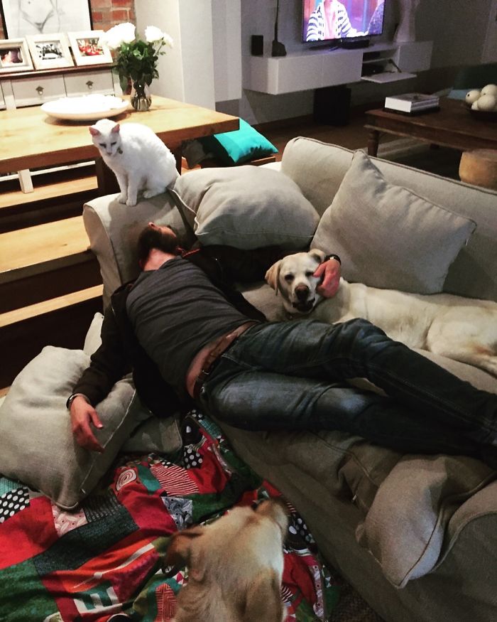 Pet Owners Who Have 3 Or More Pets, Share Your Pics With Us Pet Owners Who Have 3 Or More Pets, Share Your Pics With Us