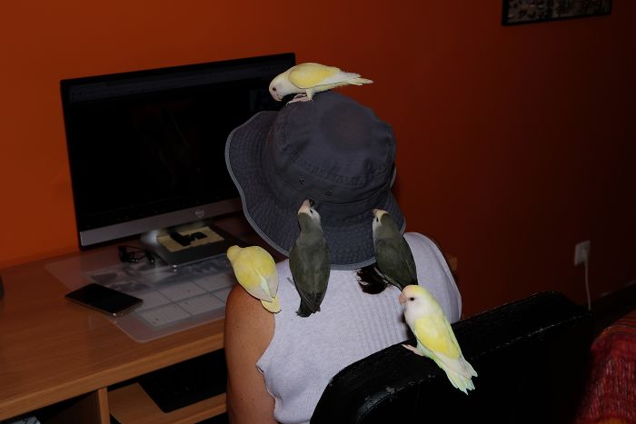 Pet Owners Who Have 3 Or More Pets, Share Your Pics With Us Pet Owners Who Have 3 Or More Pets, Share Your Pics With Us