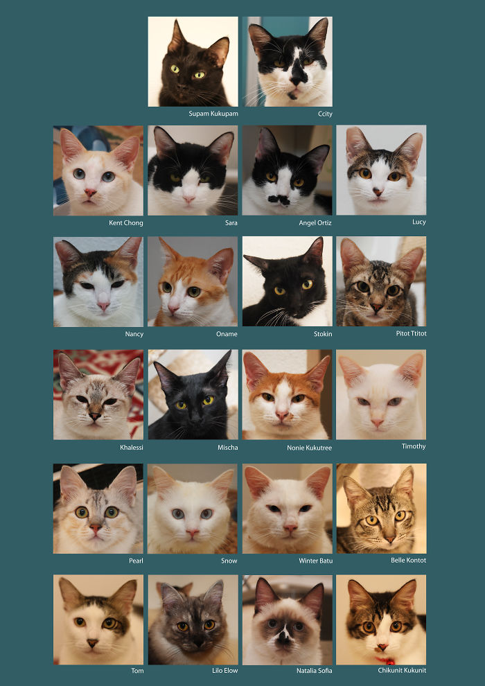 Pet Owners Who Have 3 Or More Pets, Share Your Pics With Us Pet Owners Who Have 3 Or More Pets, Share Your Pics With Us