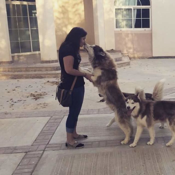 Pet Owners Who Have 3 Or More Pets, Share Your Pics With Us Pet Owners Who Have 3 Or More Pets, Share Your Pics With Us