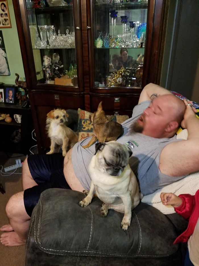 Pet Owners Who Have 3 Or More Pets, Share Your Pics With Us Pet Owners Who Have 3 Or More Pets, Share Your Pics With Us