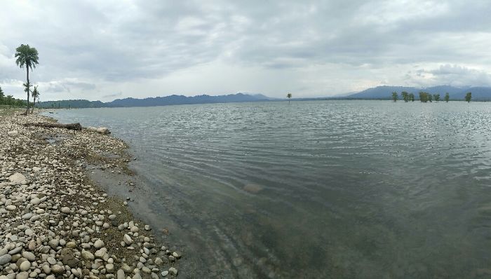 Pet Owners Who Have 3 Or More Pets, Share Your Pics With Us Pet Owners Who Have 3 Or More Pets, Share Your Pics With Us