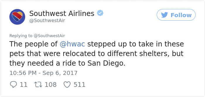 Southwest Airlines Fills Cabin With Pets Orphaned During Houston Storm In Dramatic Rescue Southwest Airlines Fills Cabin With Pets Orphaned During Houston Storm In Dramatic Rescue