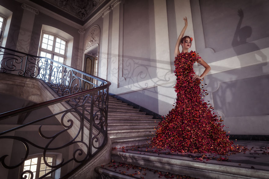 The Imaginary Dress The Imaginary Dress