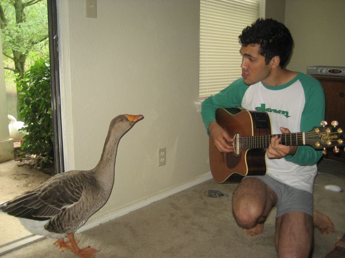 35 Of The Funniest “I Woke Up To This” Moments 35 Of The Funniest “I Woke Up To This” Moments