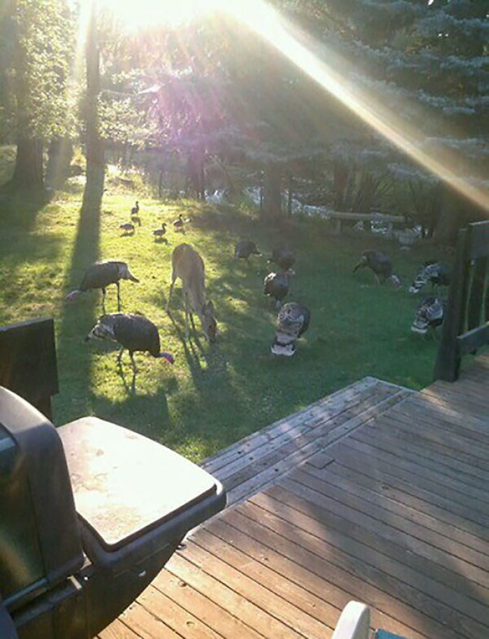 35 Of The Funniest “I Woke Up To This” Moments 35 Of The Funniest “I Woke Up To This” Moments