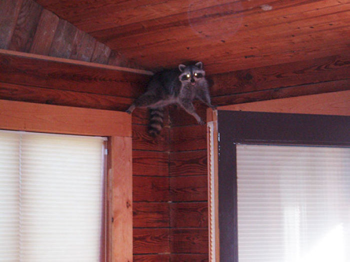 35 Of The Funniest “I Woke Up To This” Moments 35 Of The Funniest “I Woke Up To This” Moments