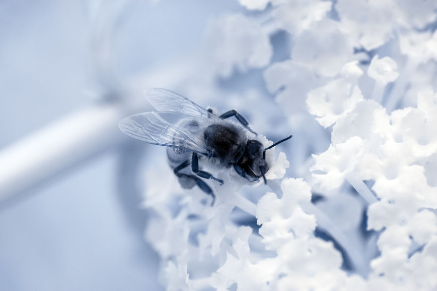 I Travel Around The Ruhr Area In Germany To Capture The Beauty Of Industrial Heritages In Infrared I Travel Around The Ruhr Area In Germany To Capture The Beauty Of Industrial Heritages In Infrared