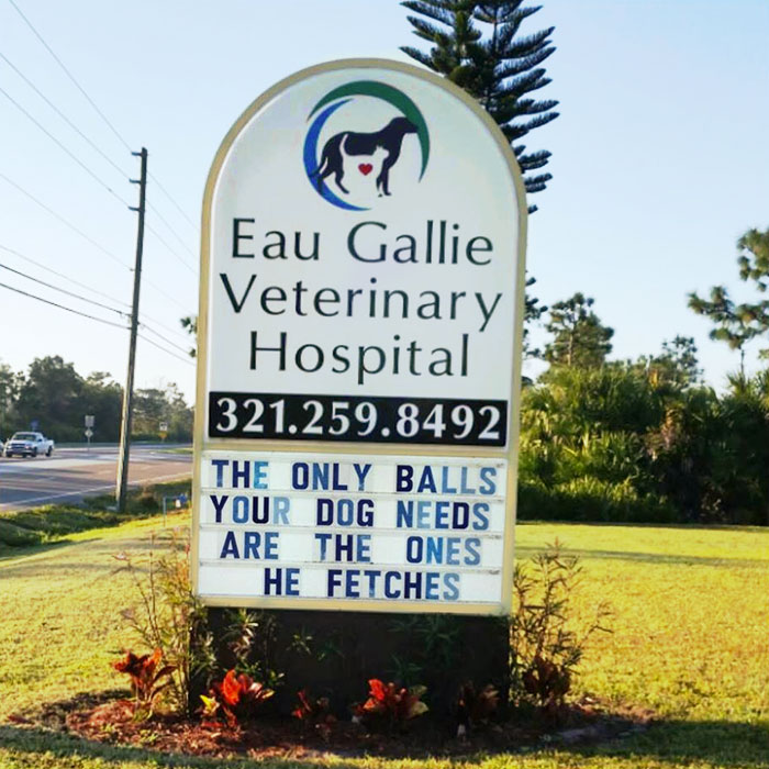 50 Genius Vet Signs That Will Make You Laugh