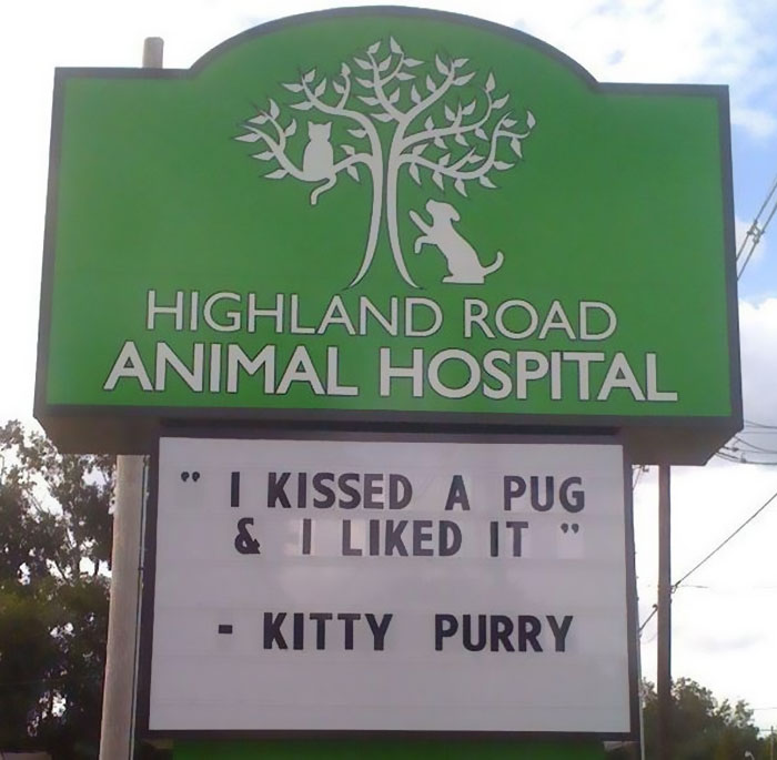 50 Genius Vet Signs That Will Make You Laugh