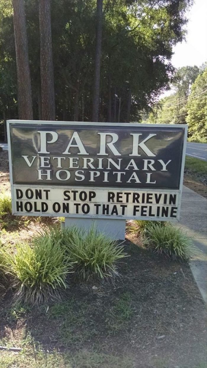50 Genius Vet Signs That Will Make You Laugh