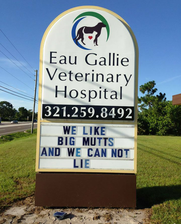 50 Genius Vet Signs That Will Make You Laugh