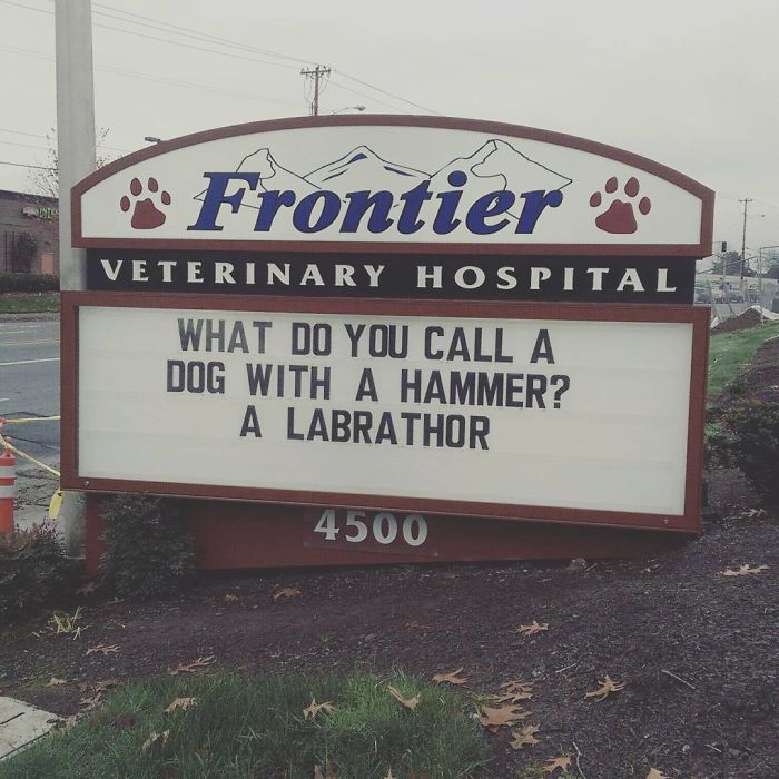 50 Genius Vet Signs That Will Make You Laugh