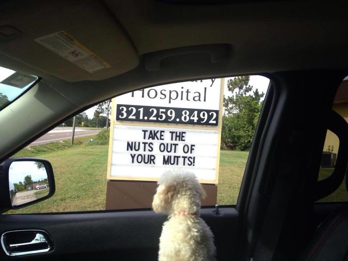 50 Genius Vet Signs That Will Make You Laugh