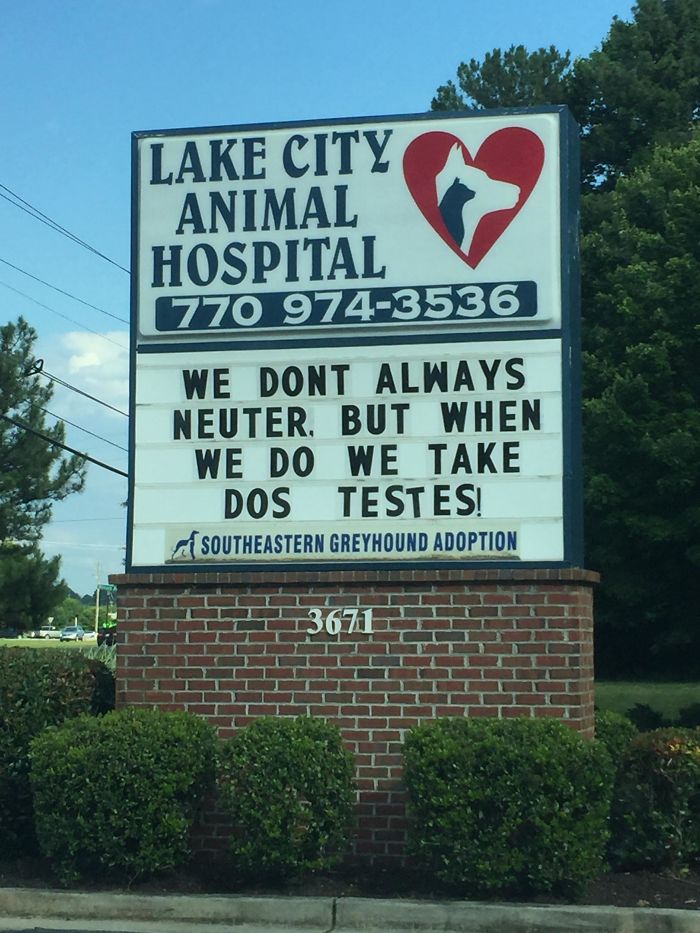 50 Genius Vet Signs That Will Make You Laugh