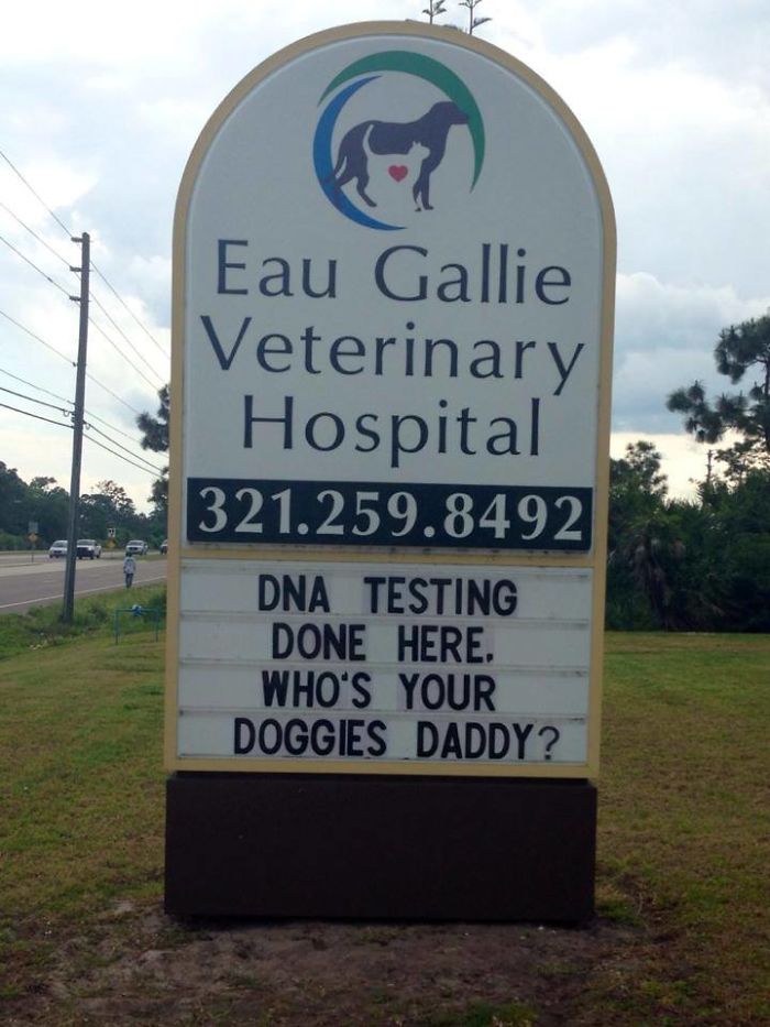 50 Genius Vet Signs That Will Make You Laugh