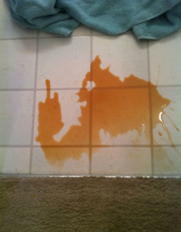 81 Accidental Spills That Will Make You Look Twice 81 Accidental Spills That Will Make You Look Twice