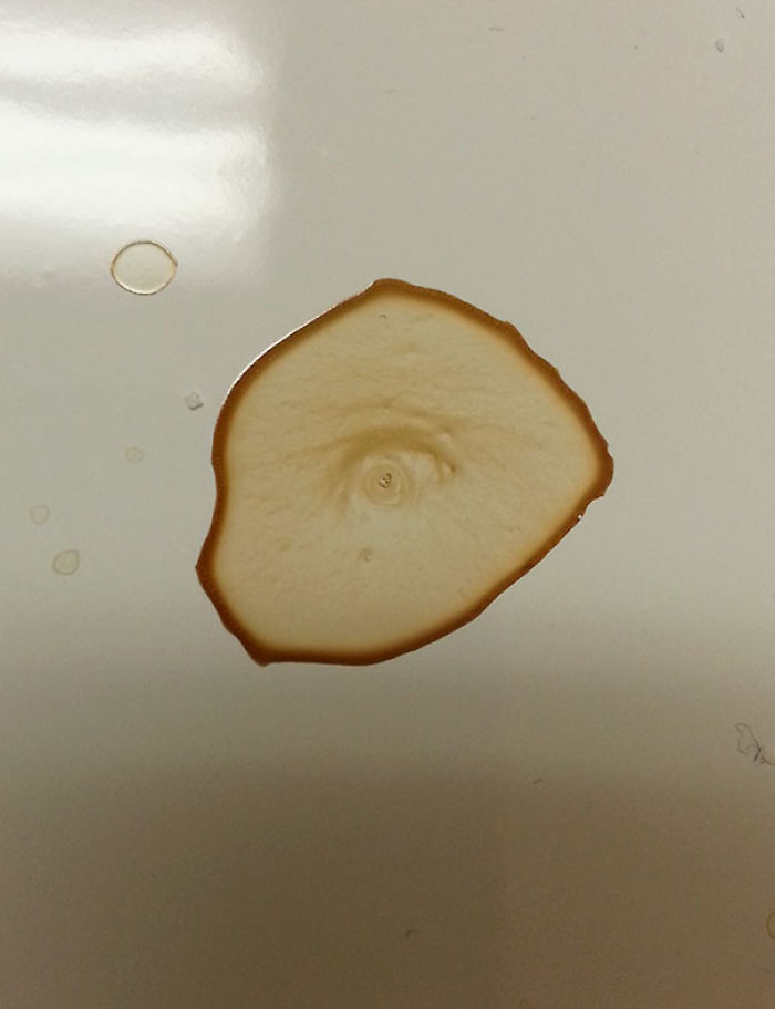 81 Accidental Spills That Will Make You Look Twice 81 Accidental Spills That Will Make You Look Twice