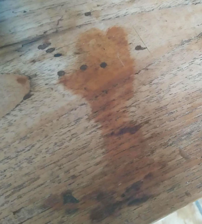 81 Accidental Spills That Will Make You Look Twice 81 Accidental Spills That Will Make You Look Twice
