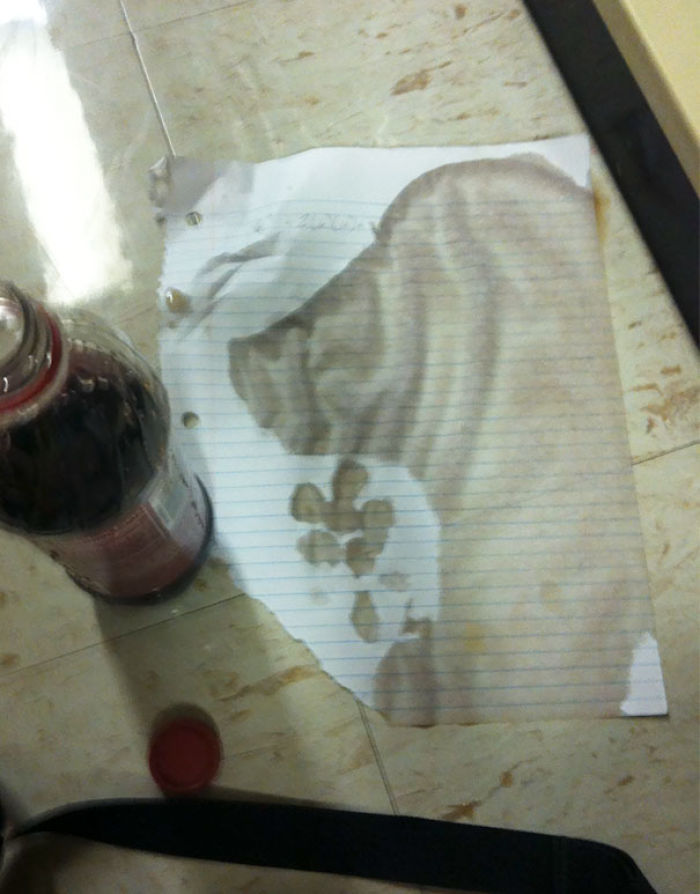 81 Accidental Spills That Will Make You Look Twice 81 Accidental Spills That Will Make You Look Twice