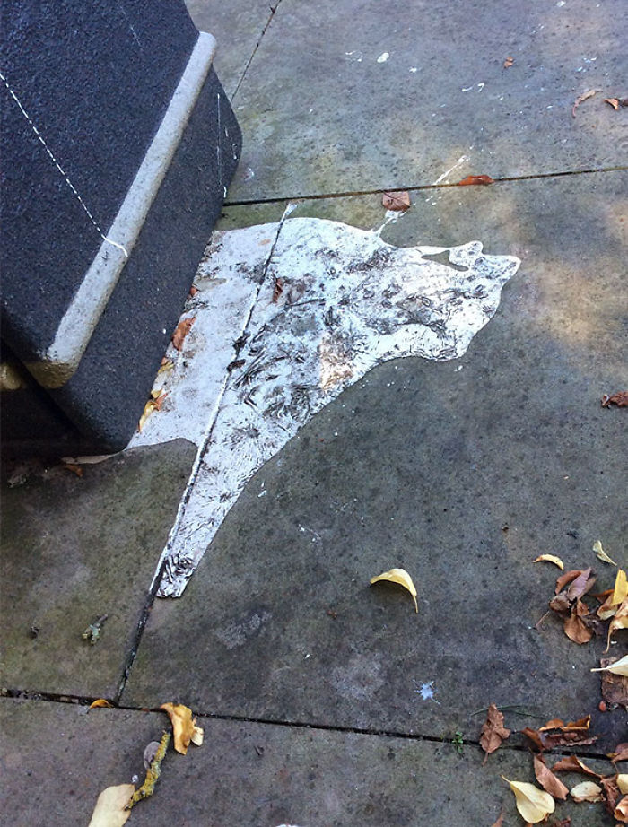 81 Accidental Spills That Will Make You Look Twice 81 Accidental Spills That Will Make You Look Twice