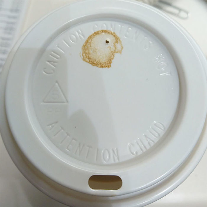 81 Accidental Spills That Will Make You Look Twice 81 Accidental Spills That Will Make You Look Twice