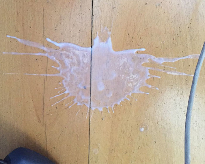 81 Accidental Spills That Will Make You Look Twice 81 Accidental Spills That Will Make You Look Twice