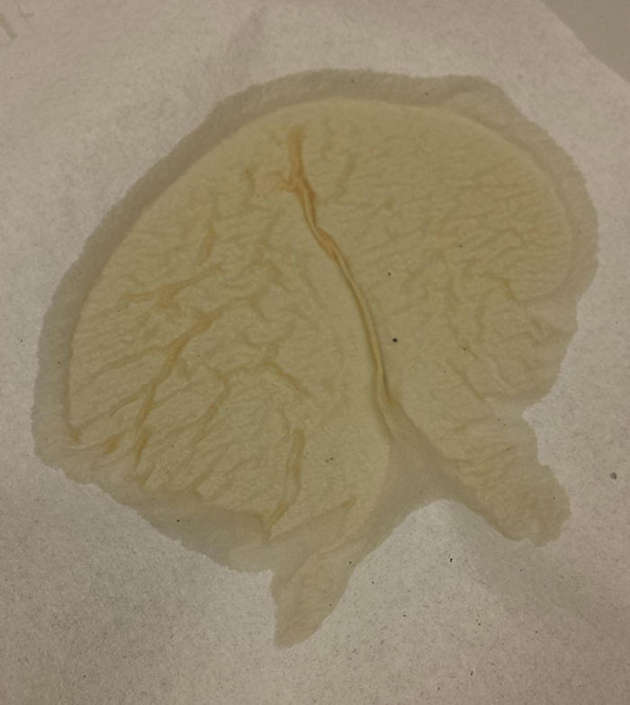 81 Accidental Spills That Will Make You Look Twice 81 Accidental Spills That Will Make You Look Twice