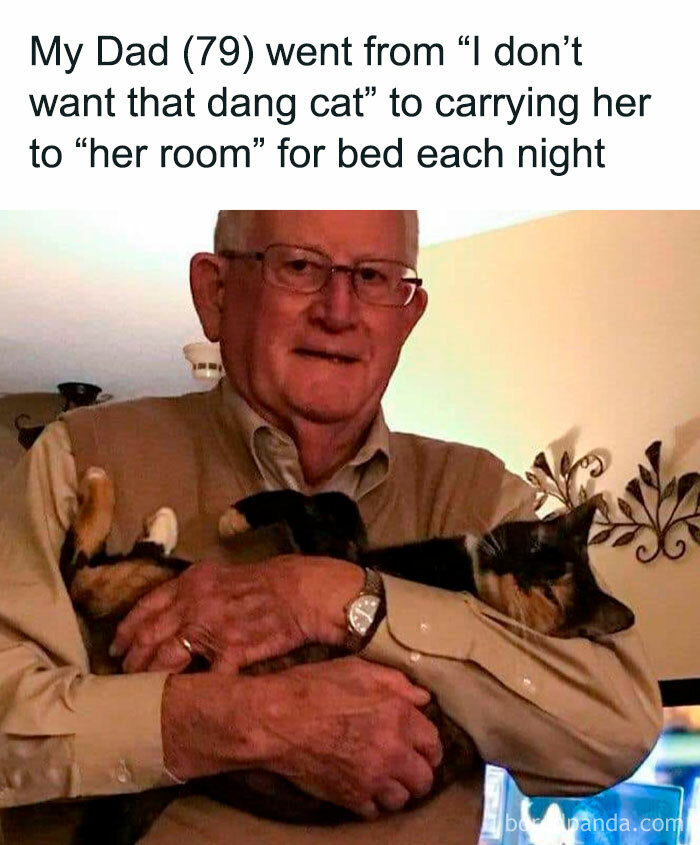 50 People Who Said They Didn’t Want The Damn Cats 50 People Who Said They Didn’t Want The Damn Cats