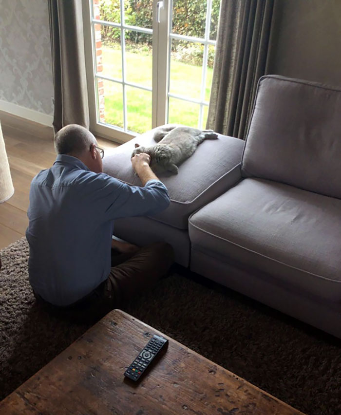 50 People Who Said They Didn’t Want The Damn Cats 50 People Who Said They Didn’t Want The Damn Cats