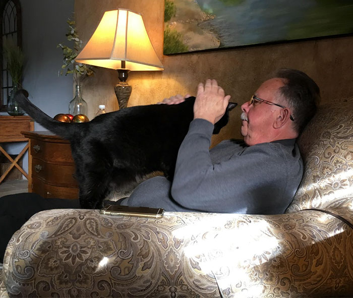 50 People Who Said They Didn’t Want The Damn Cats 50 People Who Said They Didn’t Want The Damn Cats