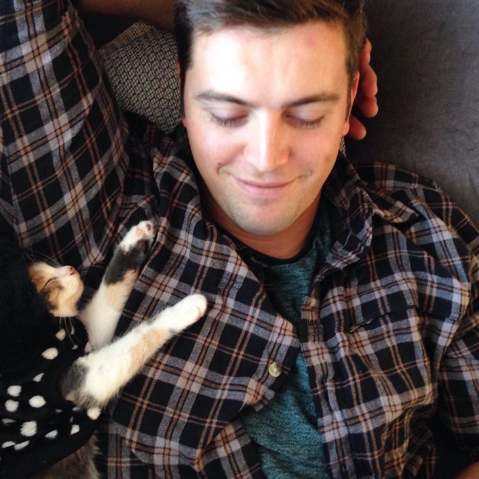 50 People Who Said They Didn’t Want The Damn Cats 50 People Who Said They Didn’t Want The Damn Cats