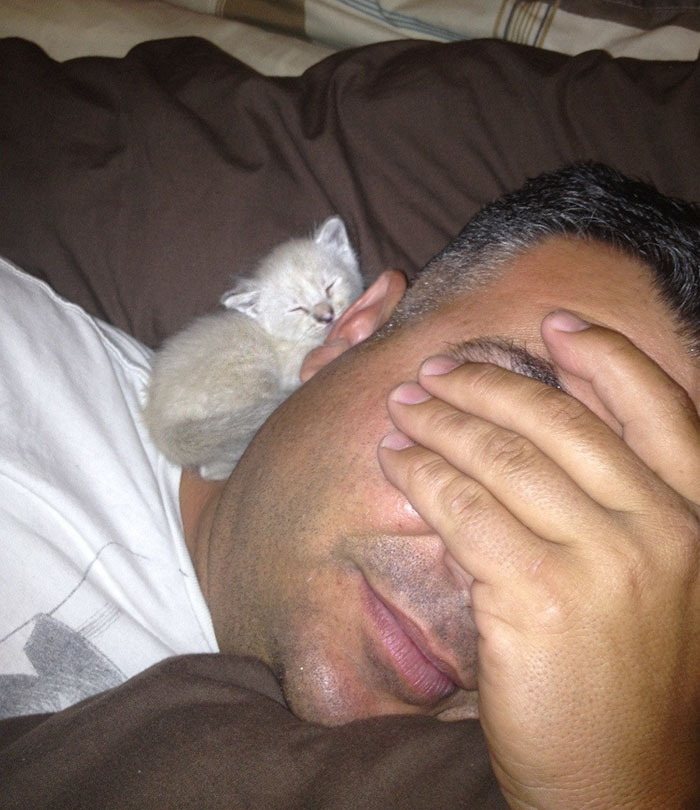 50 People Who Said They Didn’t Want The Damn Cats 50 People Who Said They Didn’t Want The Damn Cats